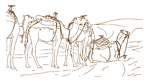 Excursões