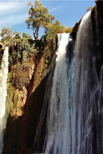 Excursão de Um Dia de Marrakech às Cascatas de Ouzoud