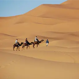 Viagem de Marrakech para cidades imperiais de Fez e Marrakech e deserto